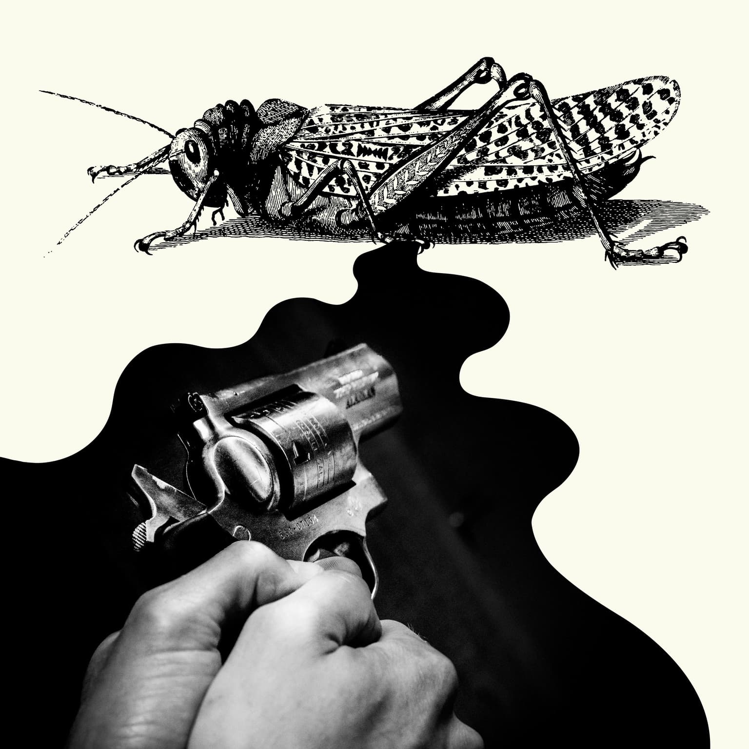 Killer Empathy artwork