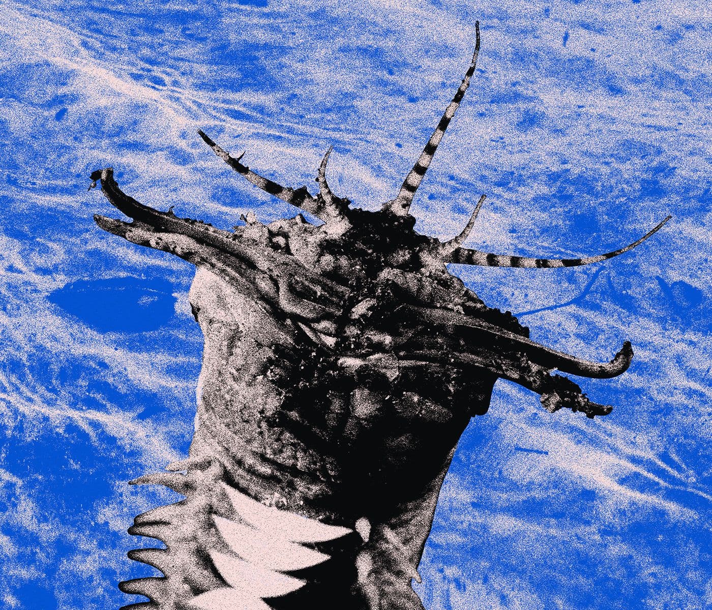 Beware the Sand Striker artwork