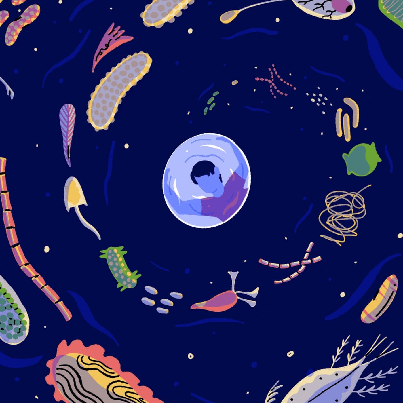 Life in a Barrel artwork