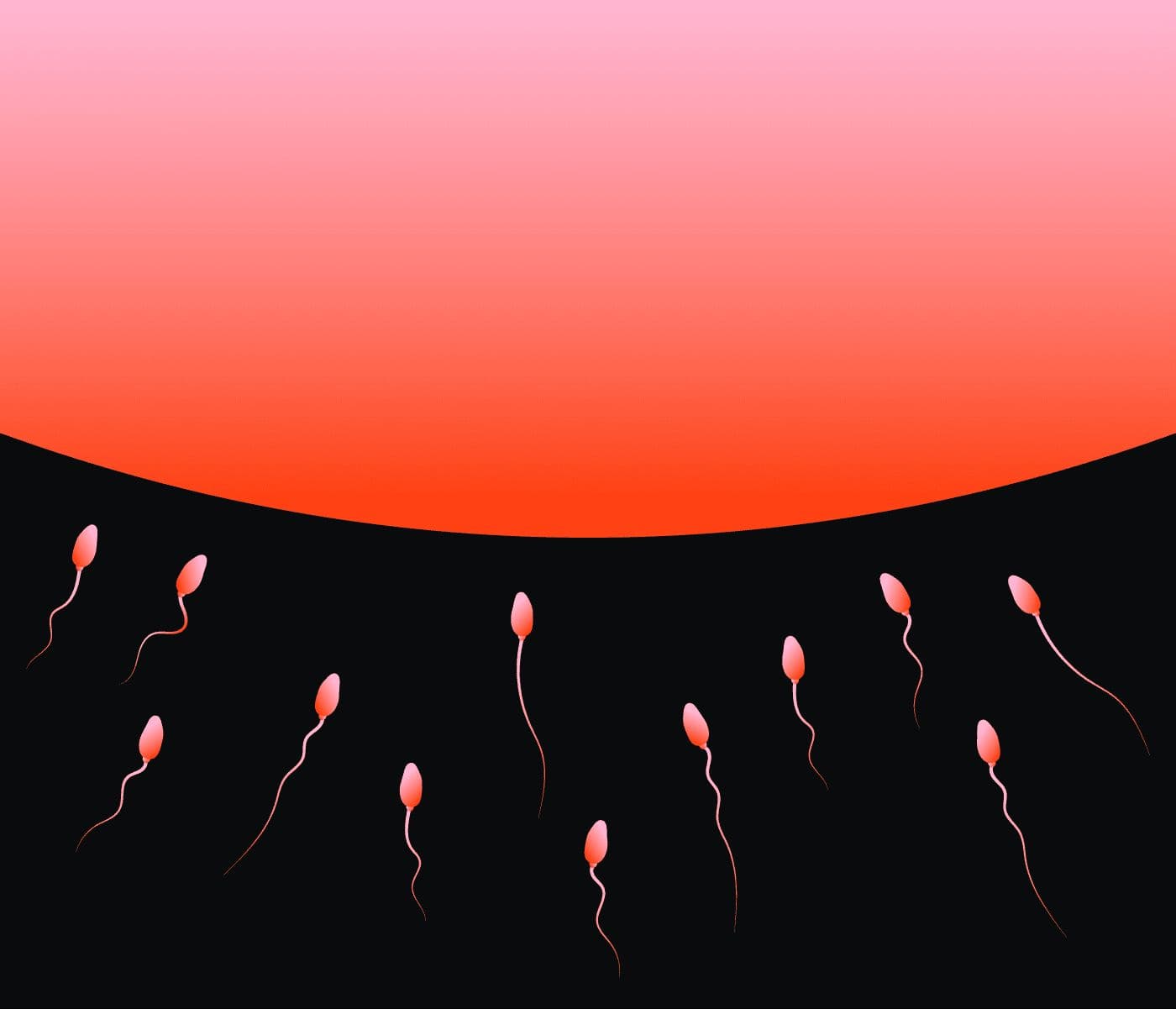 Birthstory artwork