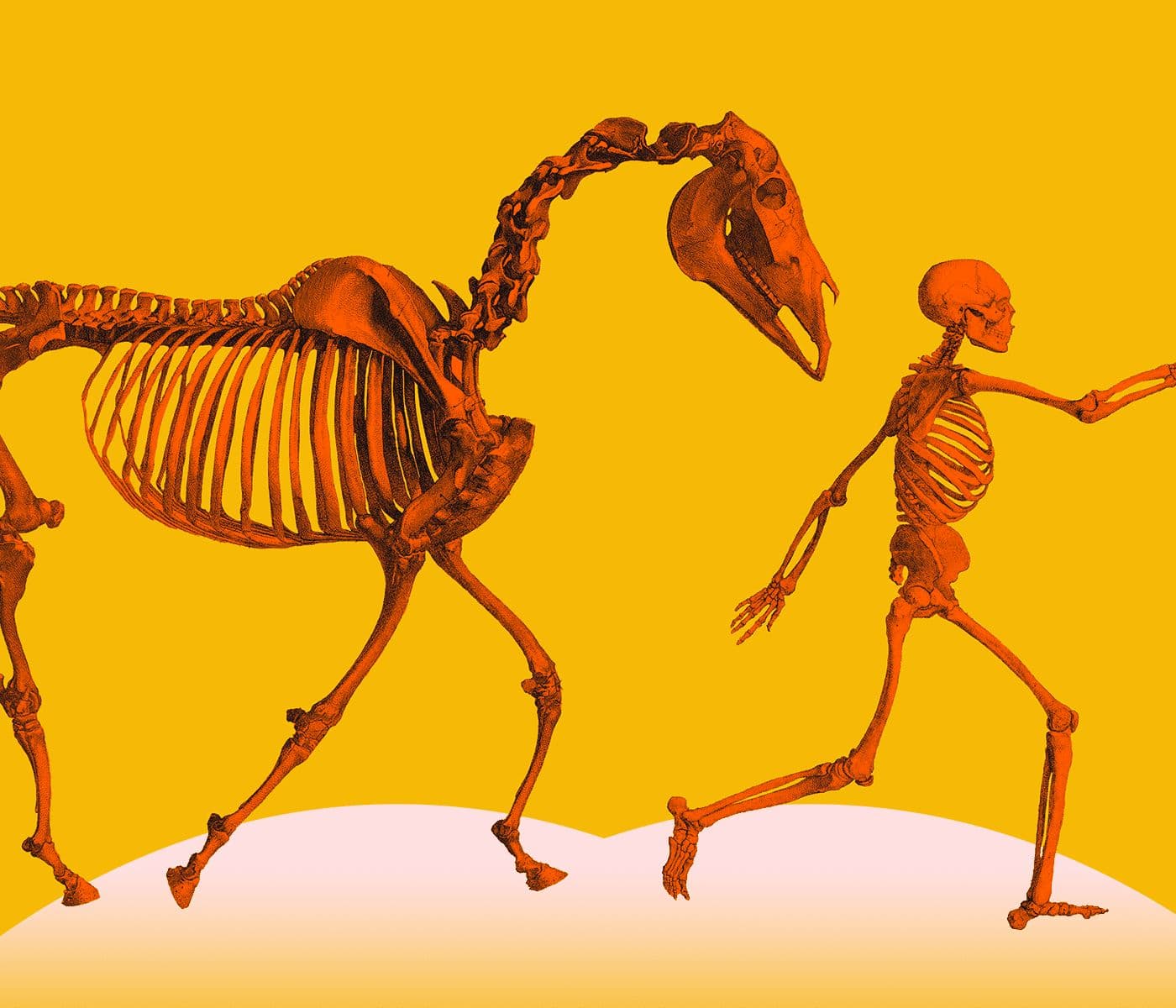 Man Against Horse artwork