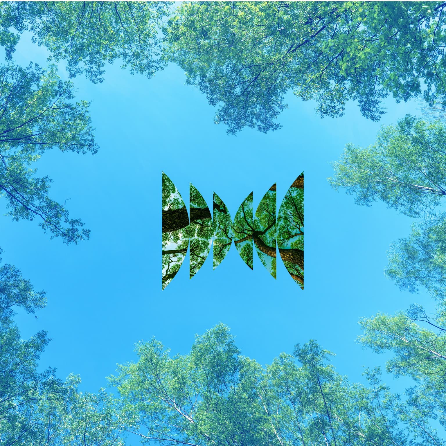 Forests on Forests artwork