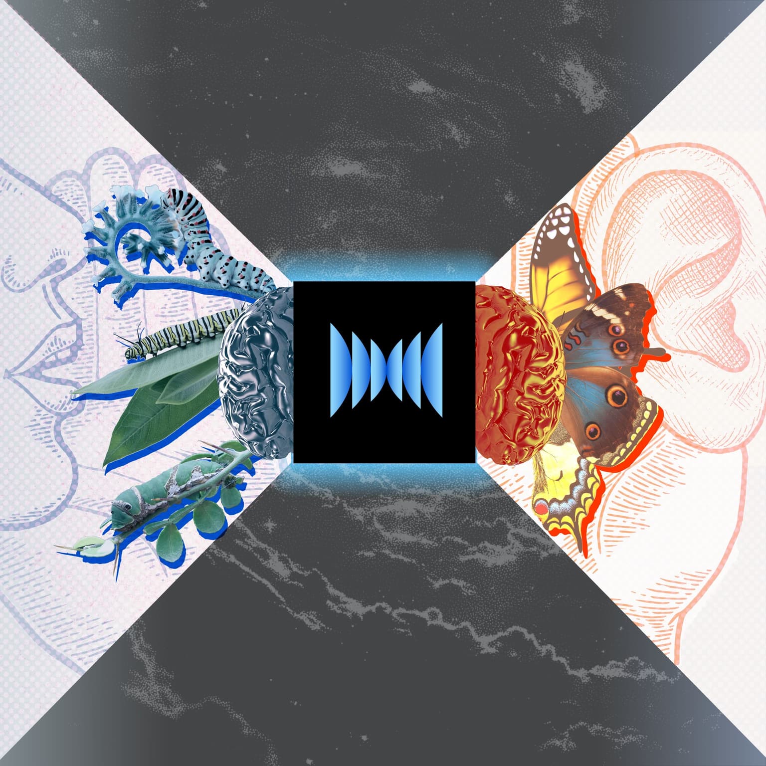 Black Box artwork