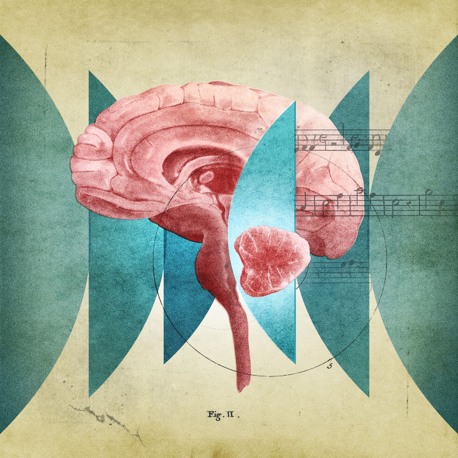 Song of the Cerebellum artwork