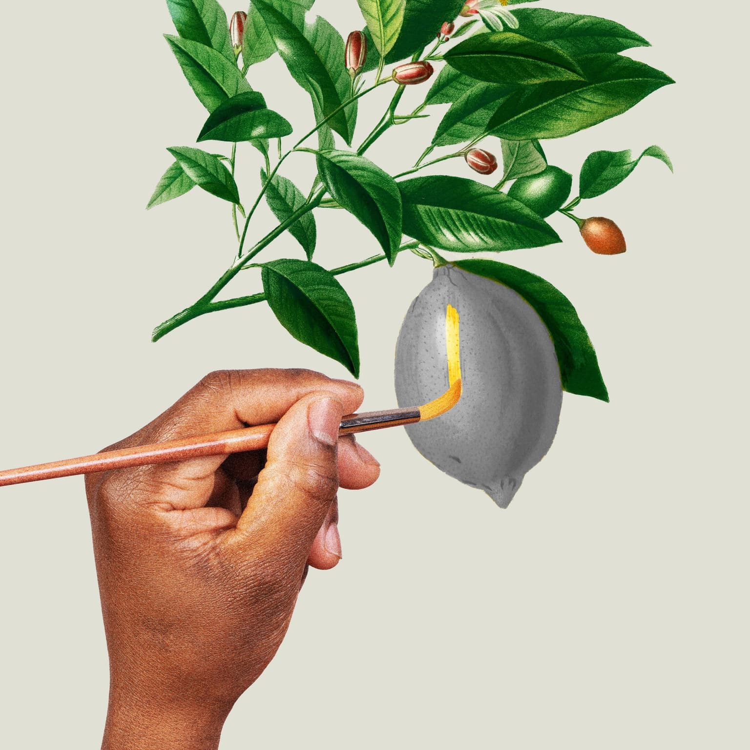Forever Fresh artwork