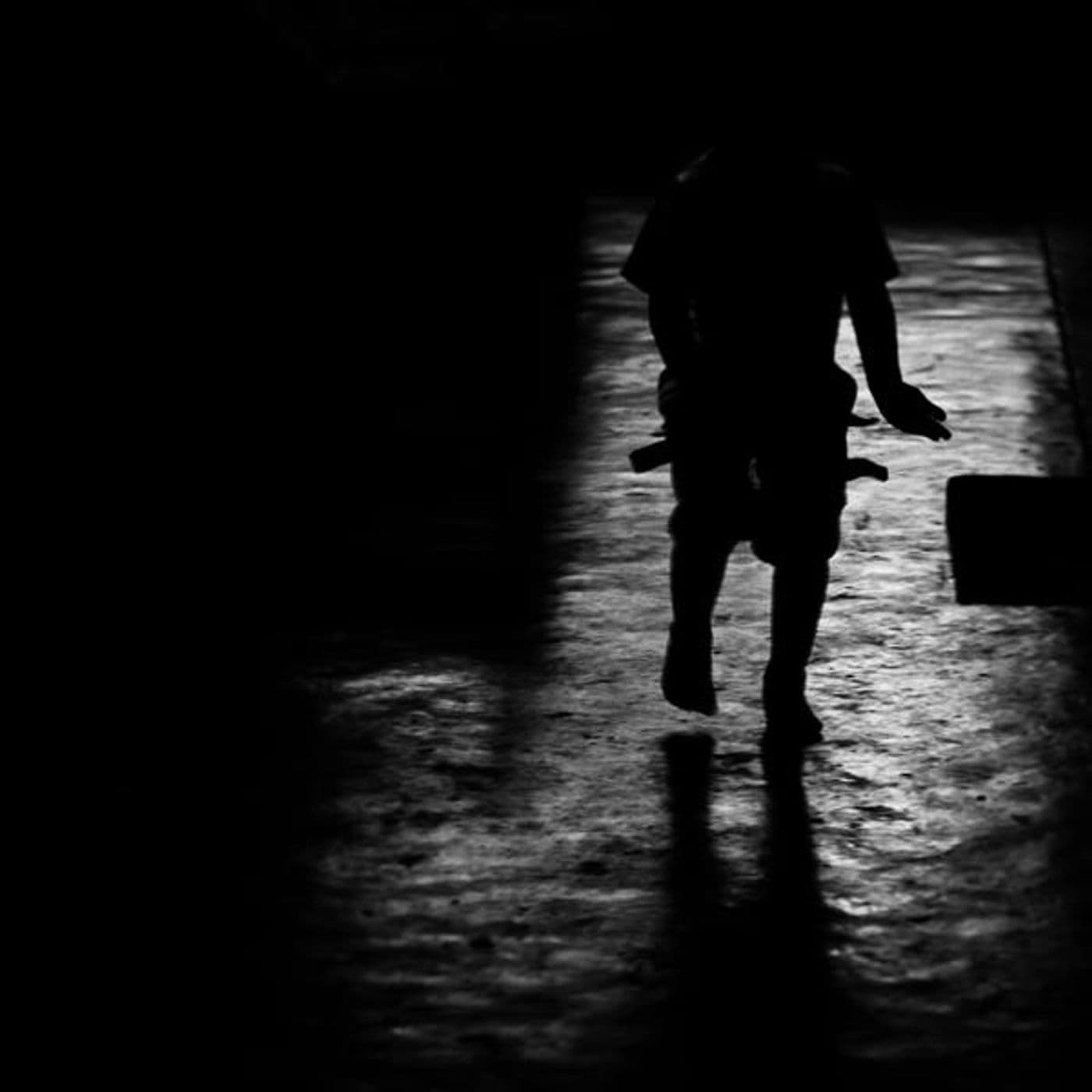 Seeing in the Dark artwork