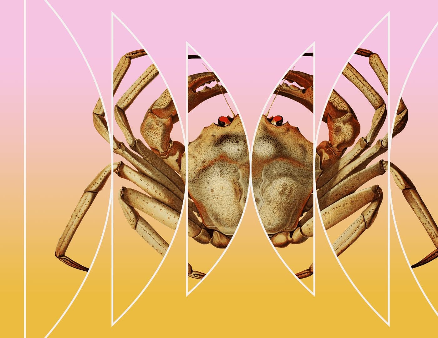 Crabs All the Way Down artwork