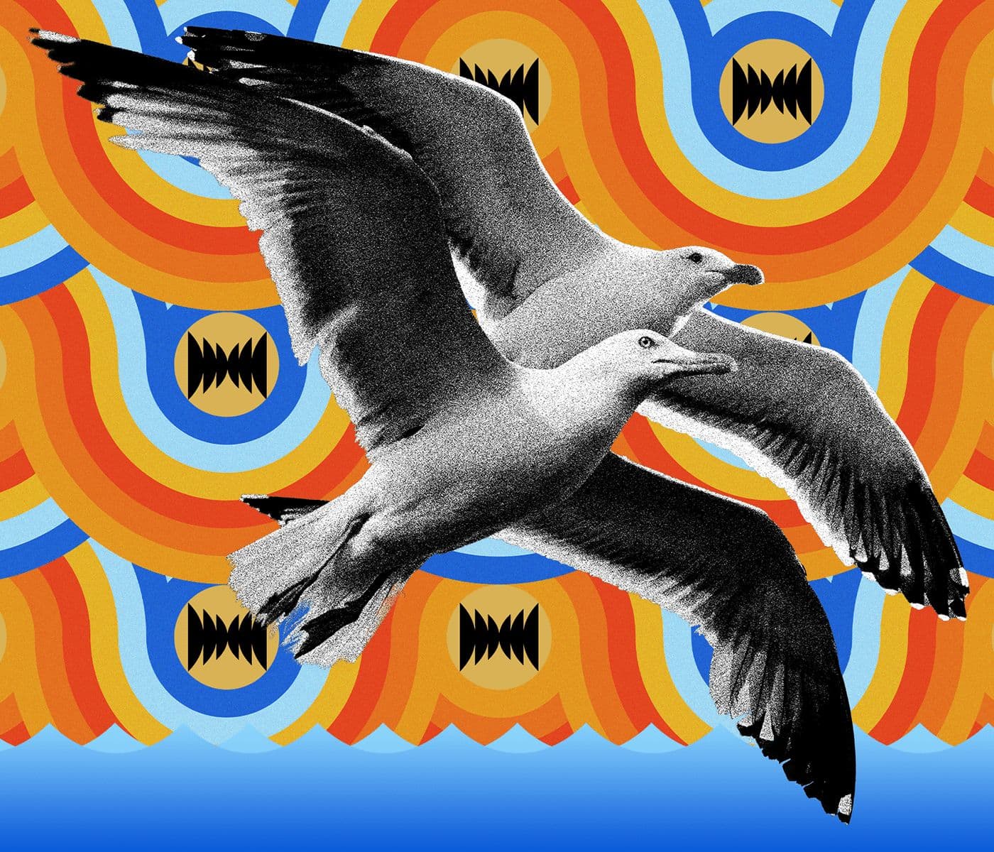 The Seagulls artwork