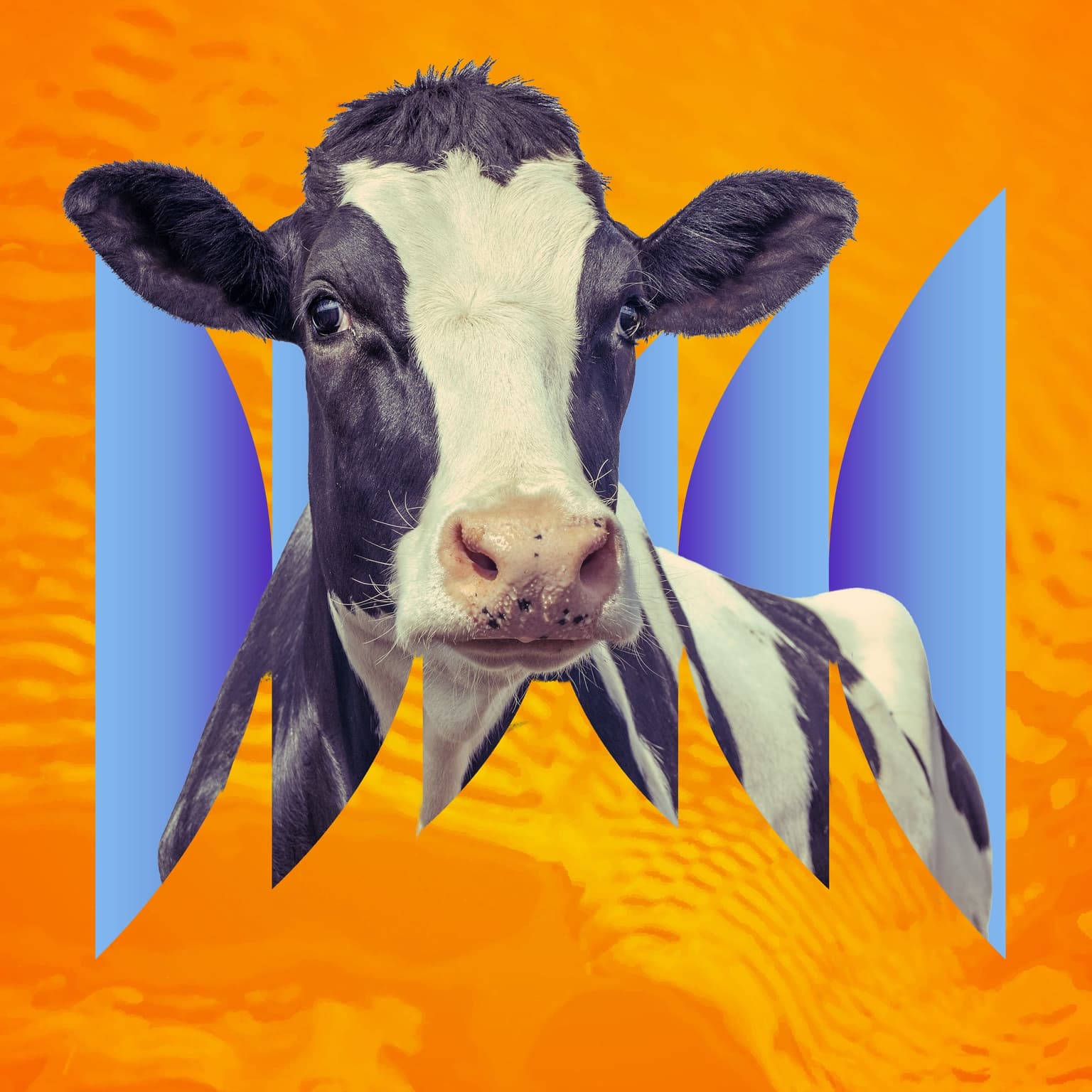 The Resistance of a Cow artwork