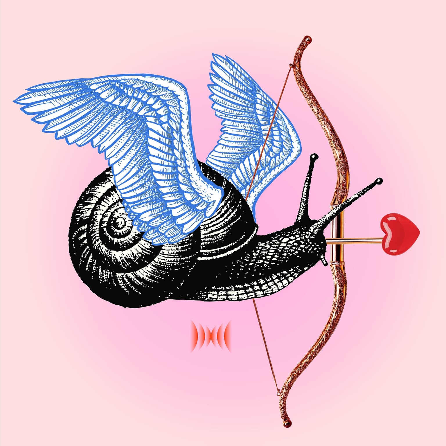 Snail Sex Tape artwork