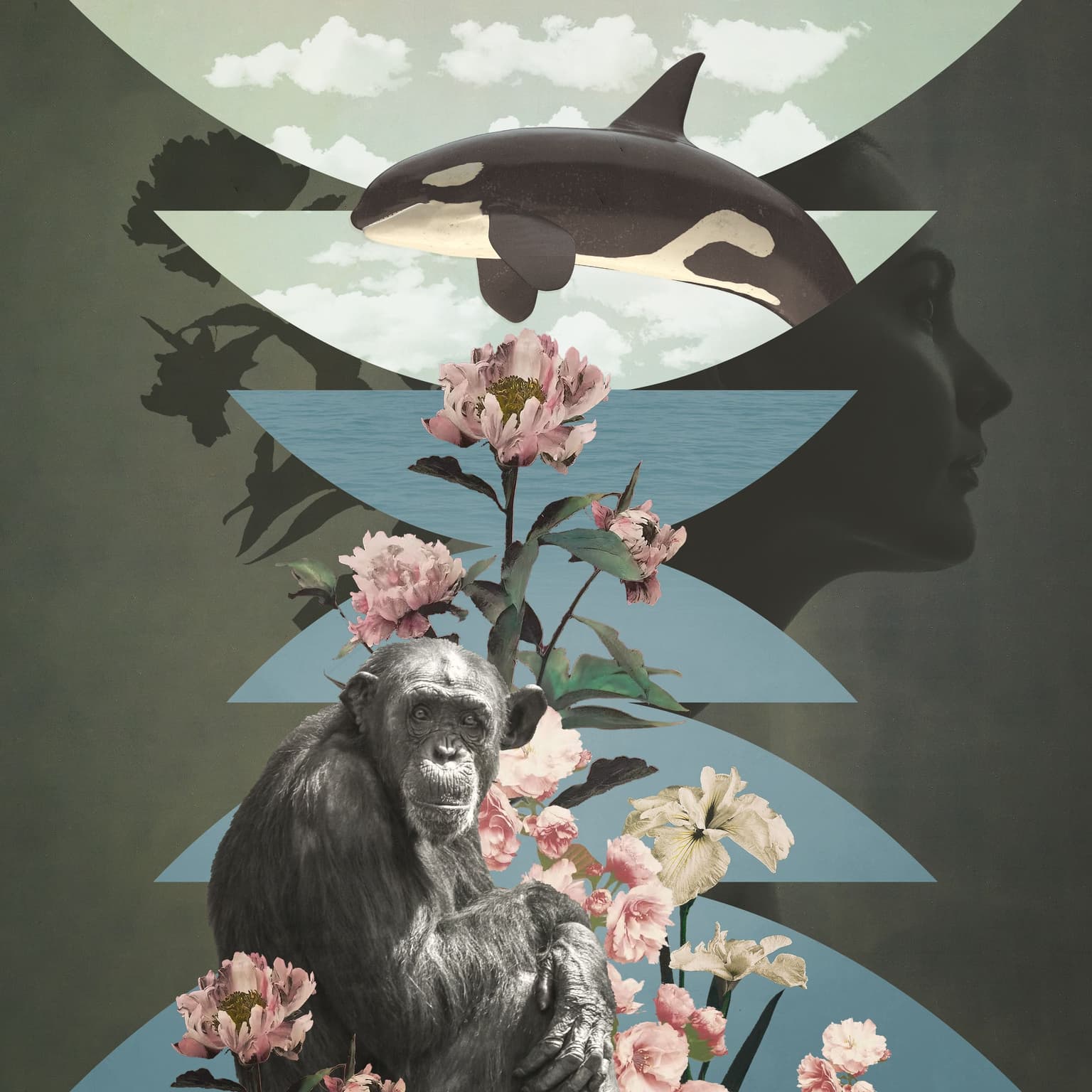 The Menopause Mystery artwork