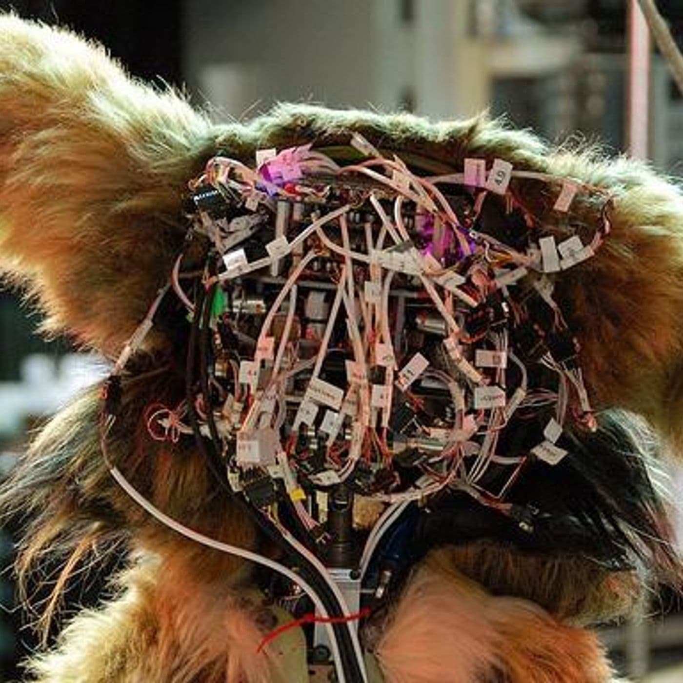 Talking to Machines artwork