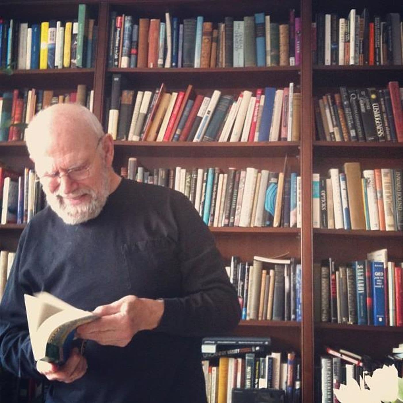 Happy Birthday, Good Dr. Sacks artwork