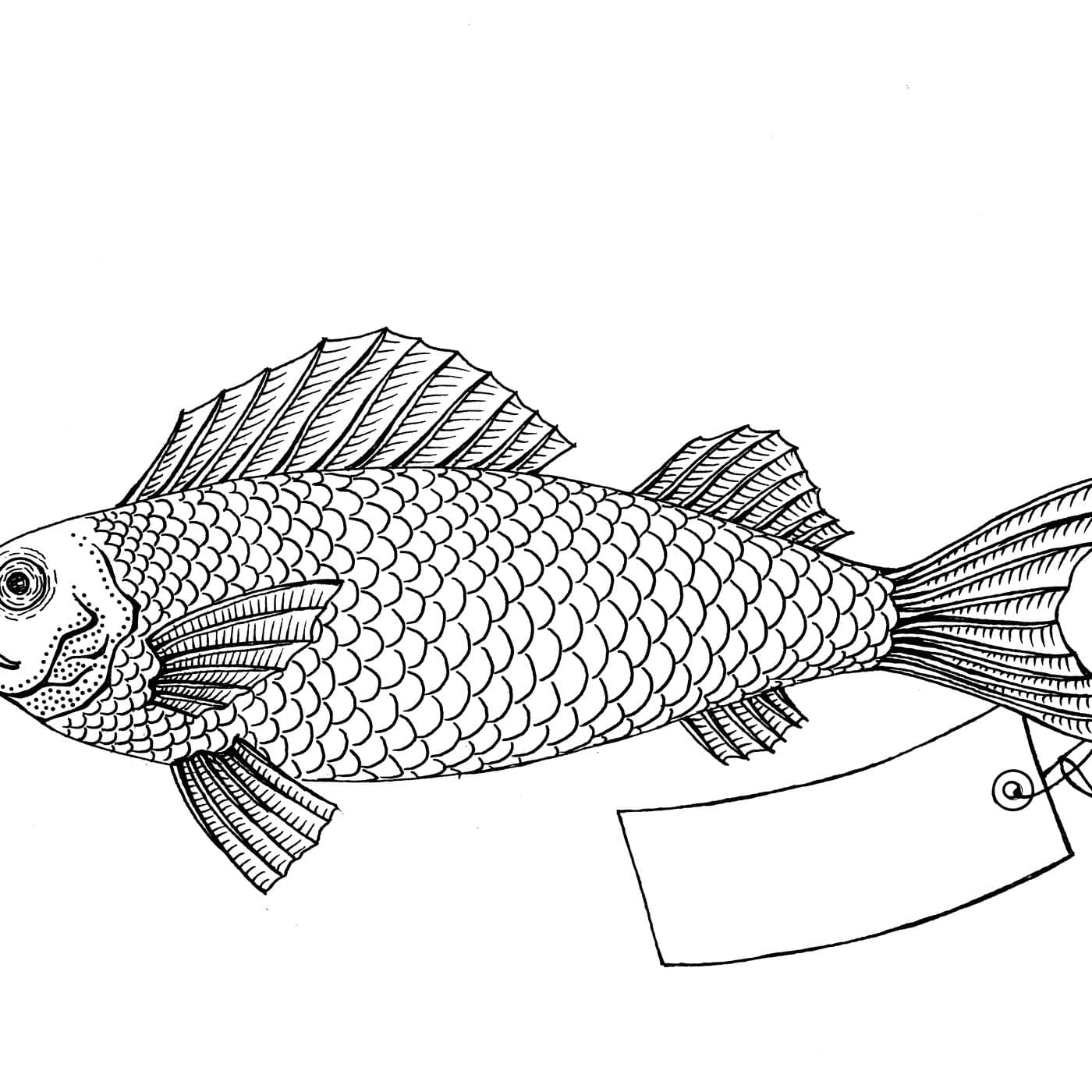 Why Fish Don't Exist artwork