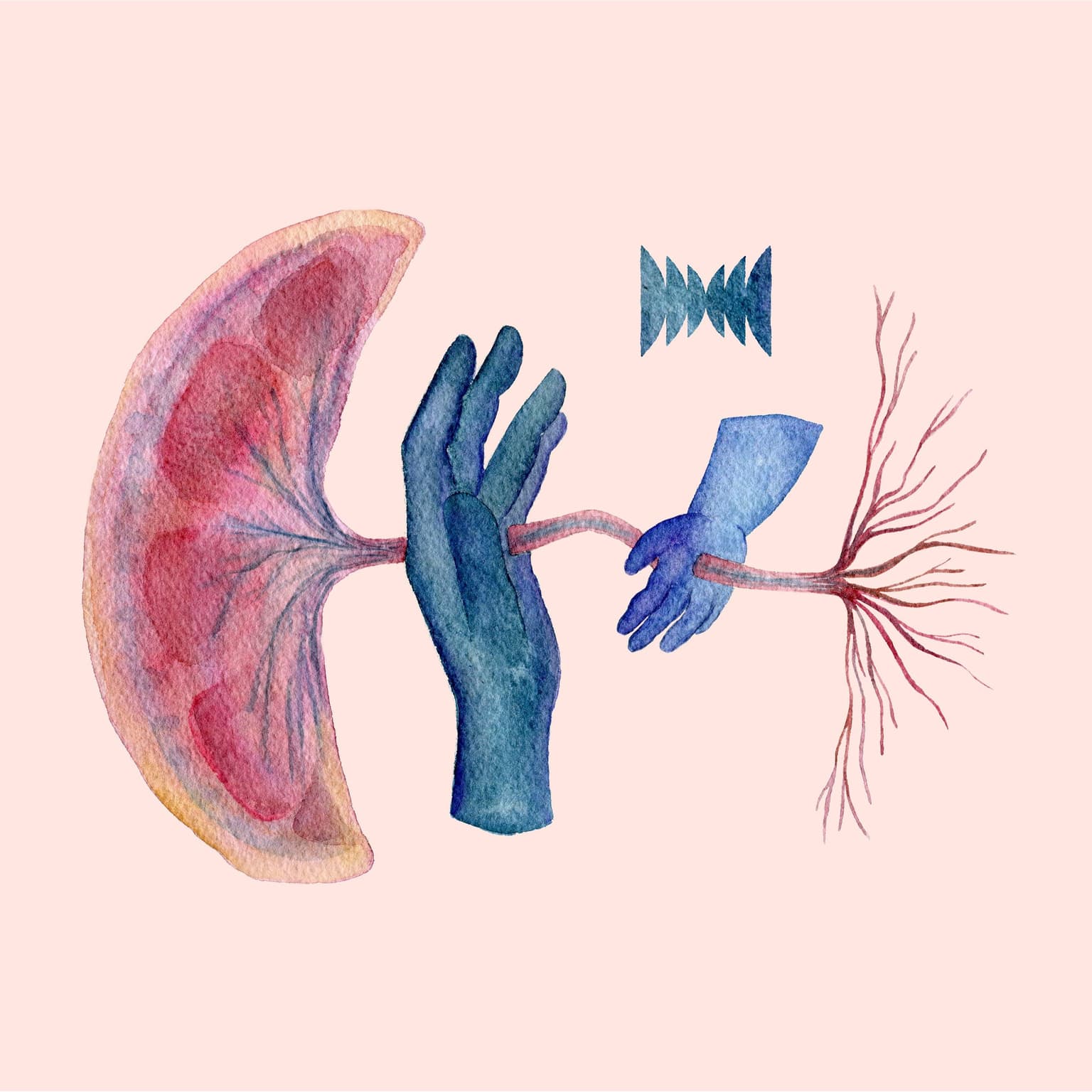 Everybody's Got One artwork