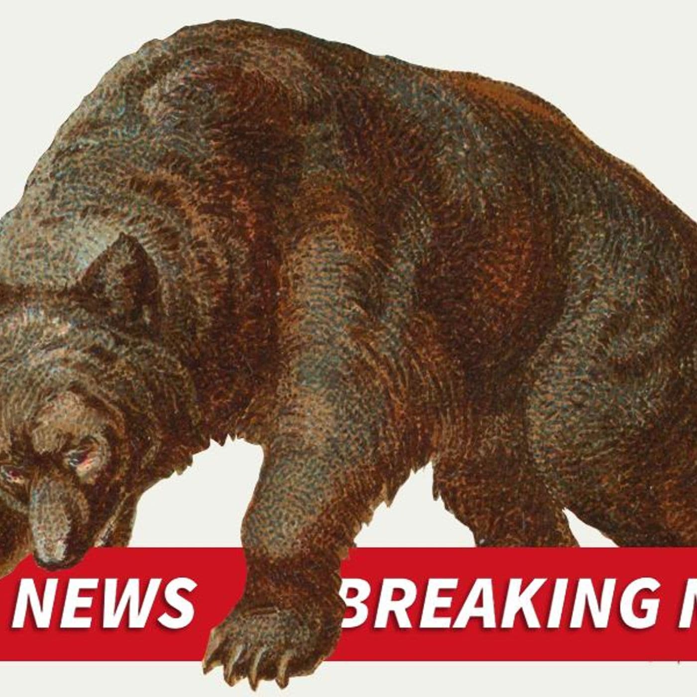 Breaking Bad News Bears artwork