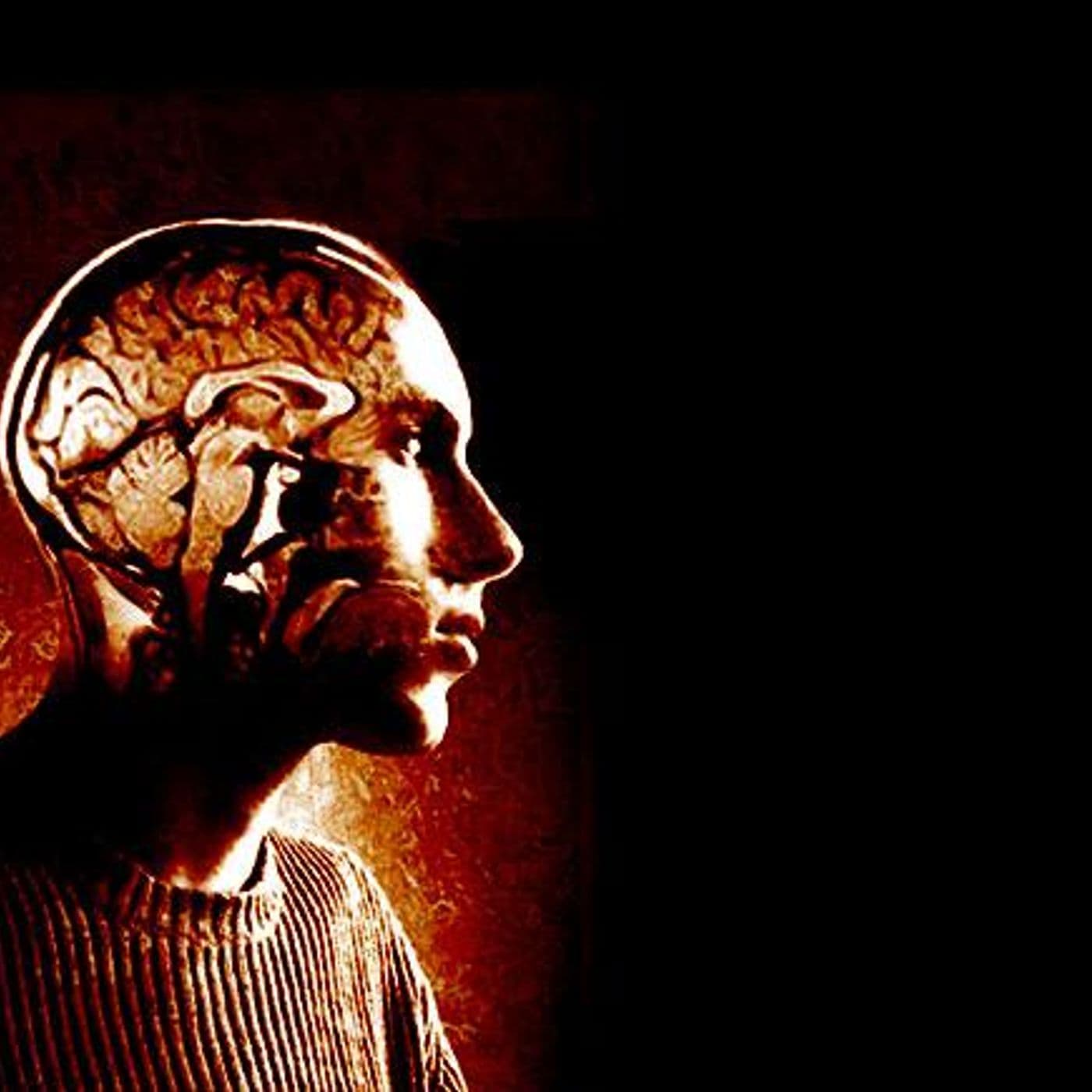 Voices in Your Head artwork