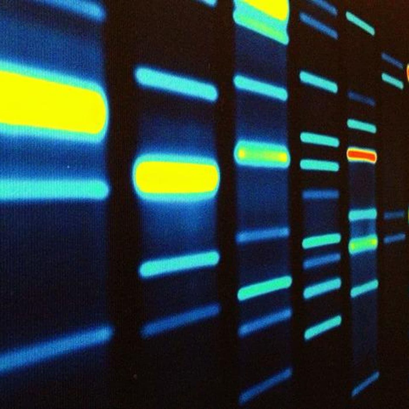 Infective Heredity artwork