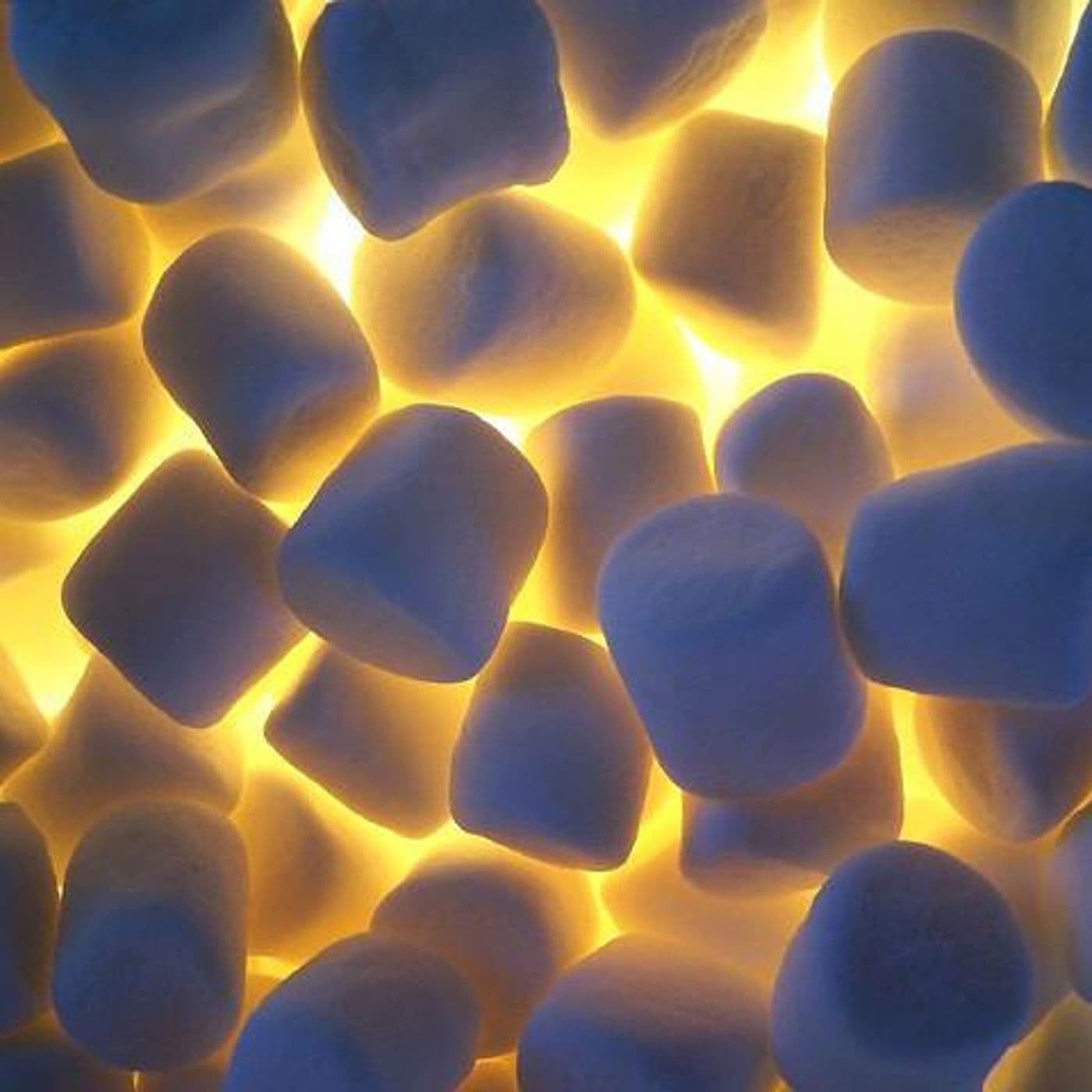 Mischel’s Marshmallows artwork