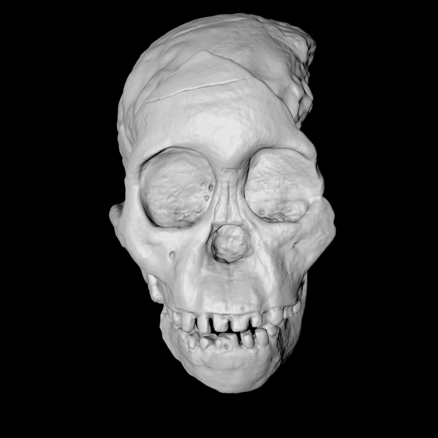 The Skull artwork