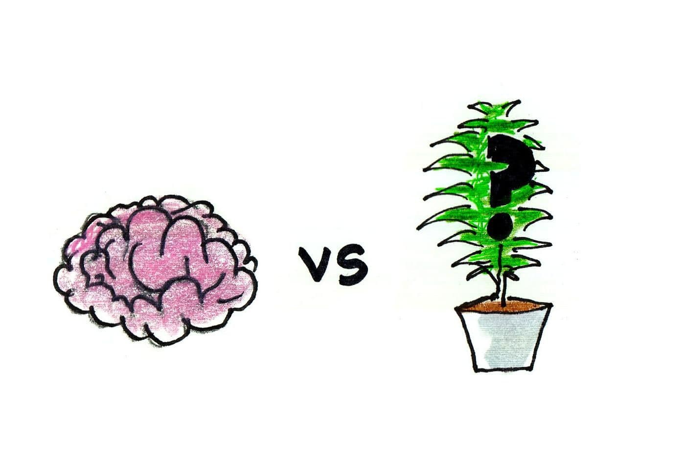 Smarty Plants artwork