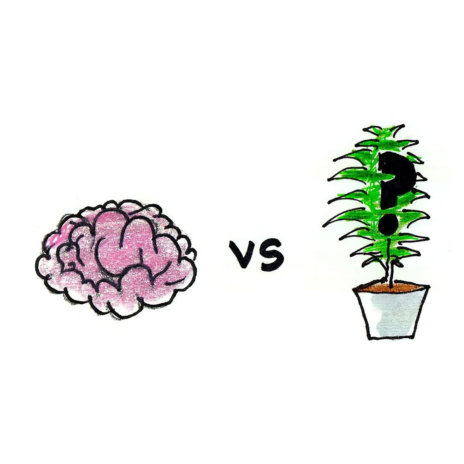 Smarty Plants artwork