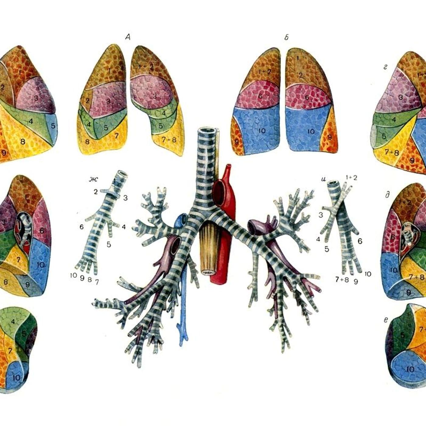 Breath artwork