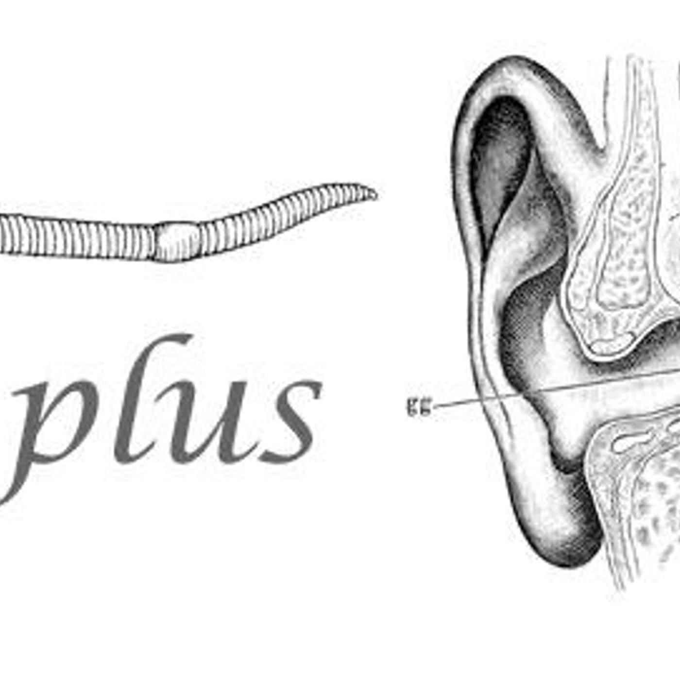 Earworms artwork