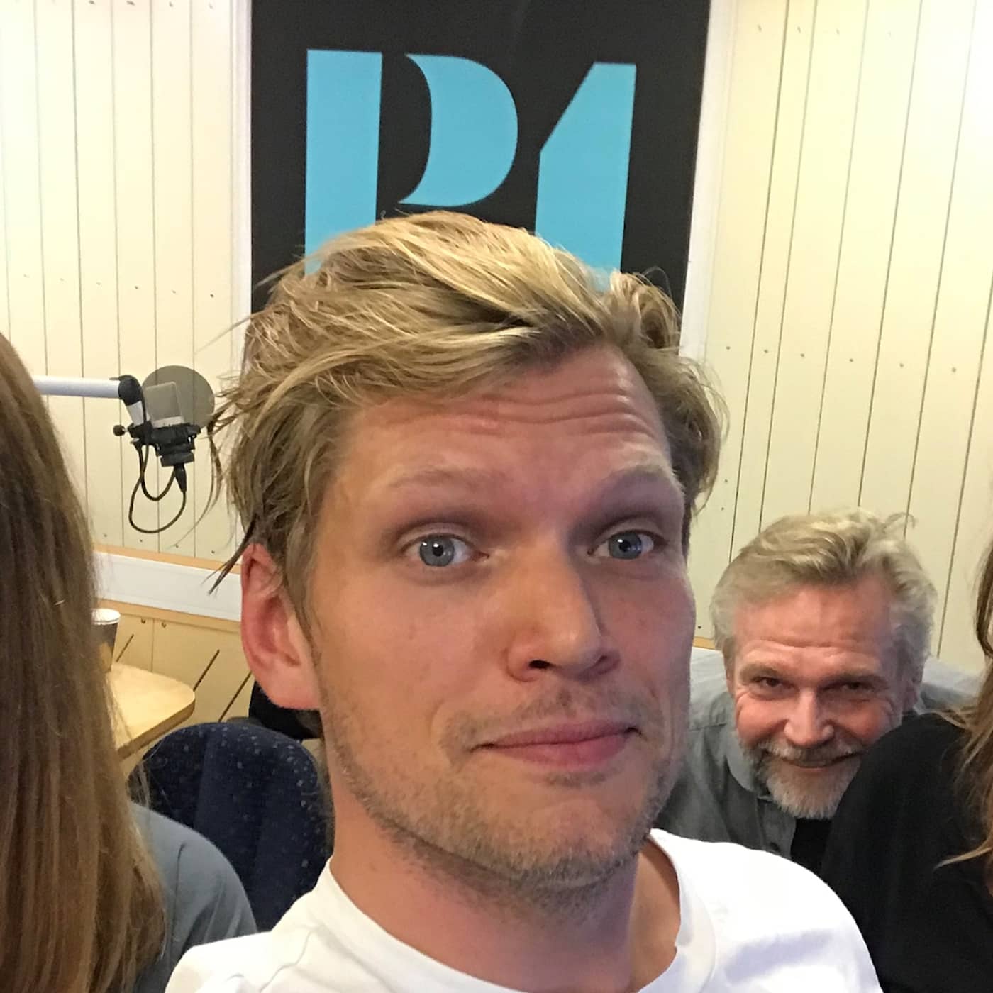 213: "Ett förräderi mot borgerligheten" artwork
