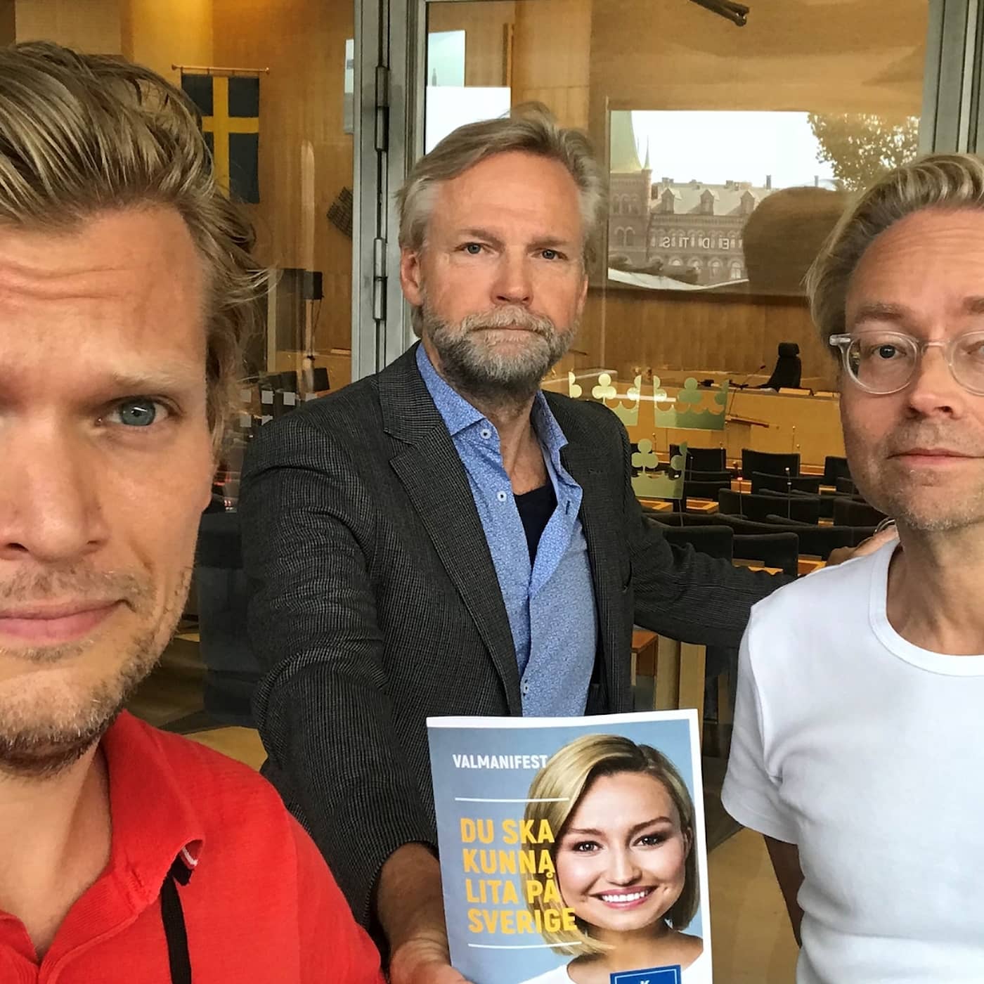 191: "Trygga till det med trygghetspartiet Tryggsson" artwork