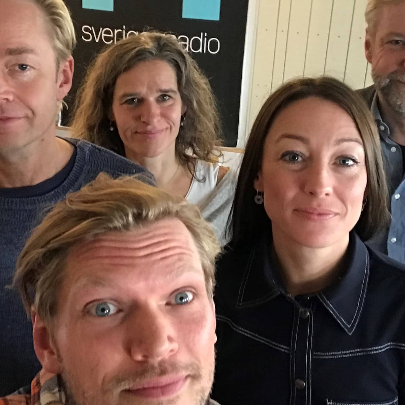 212: "Moderaterna har ömsat skinn så många gånger" artwork