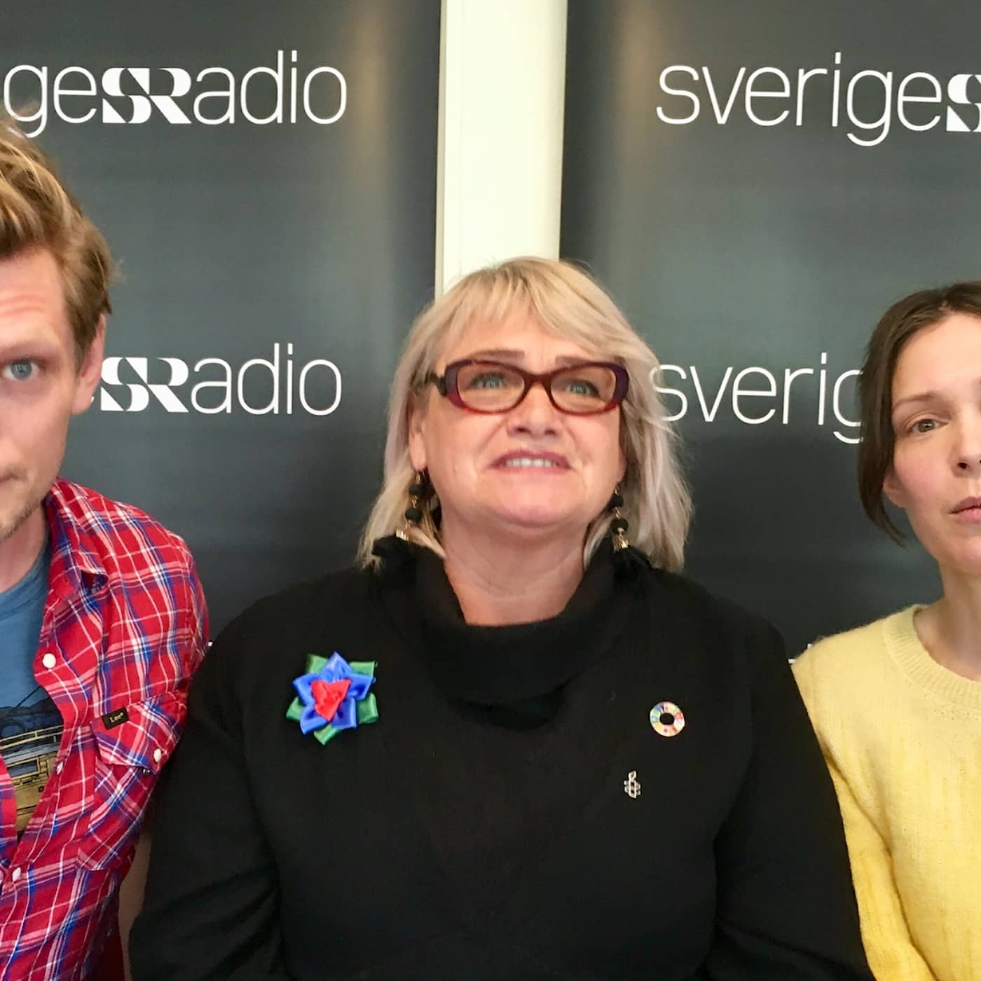 252: Soraya Post (Fi): Man ska inte taktikrösta artwork