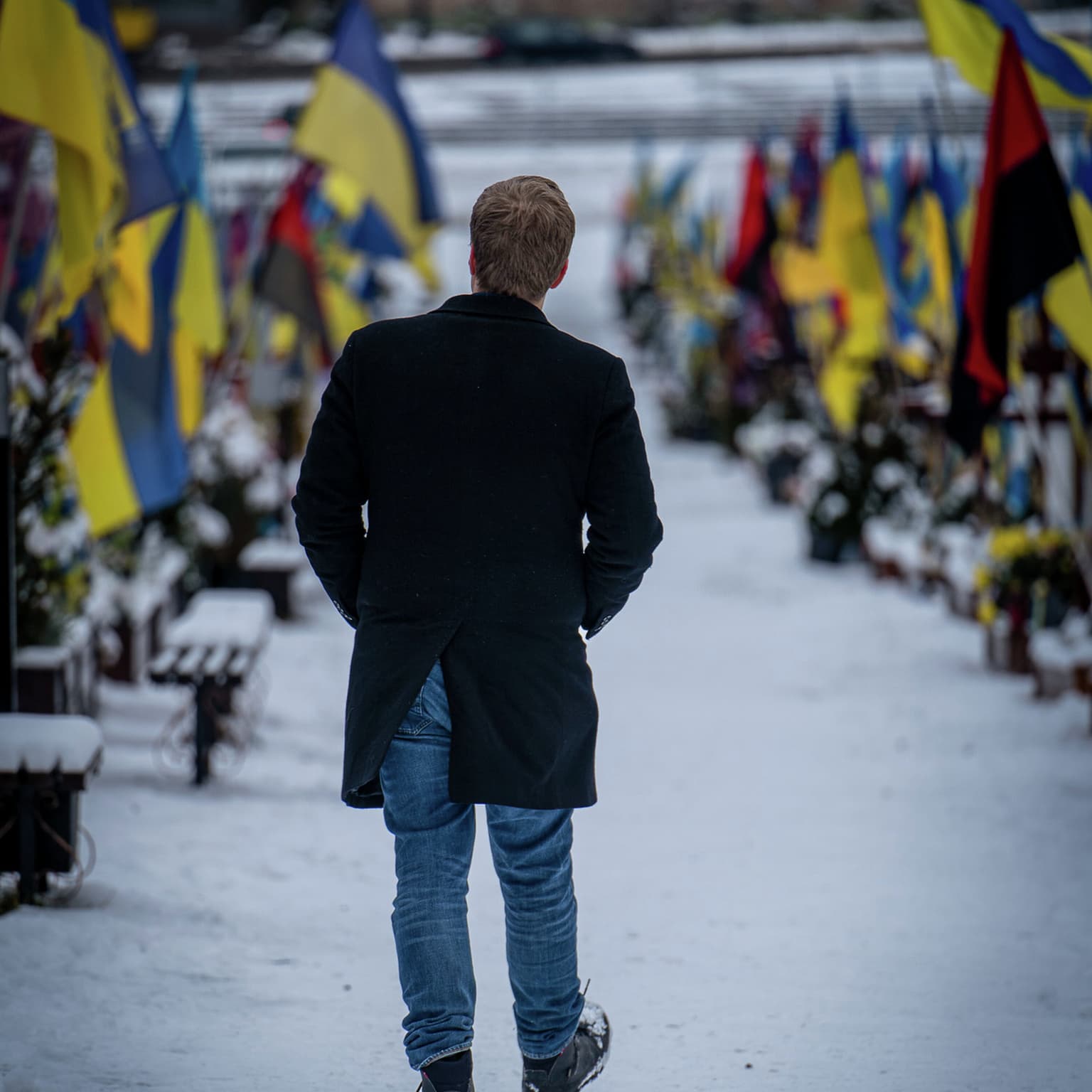Ukrainsk framgang i Donbas, kritisk situasjon i Kursk og massiv økning i norsk ukrainastøtte artwork
