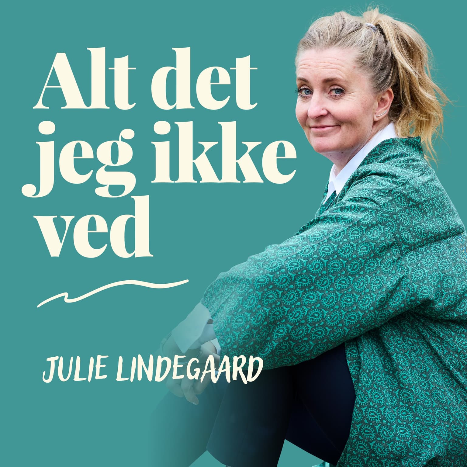 Alt det jeg ikke ved - teaser artwork