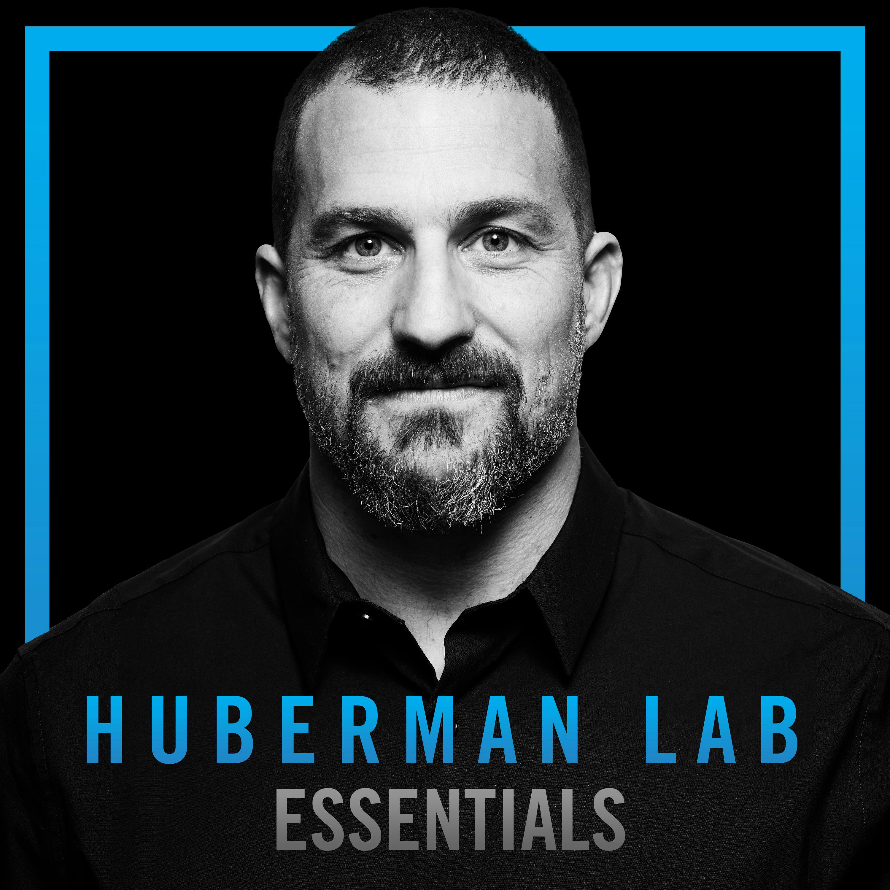 Essentials: Time Perception, Memory & Focus artwork