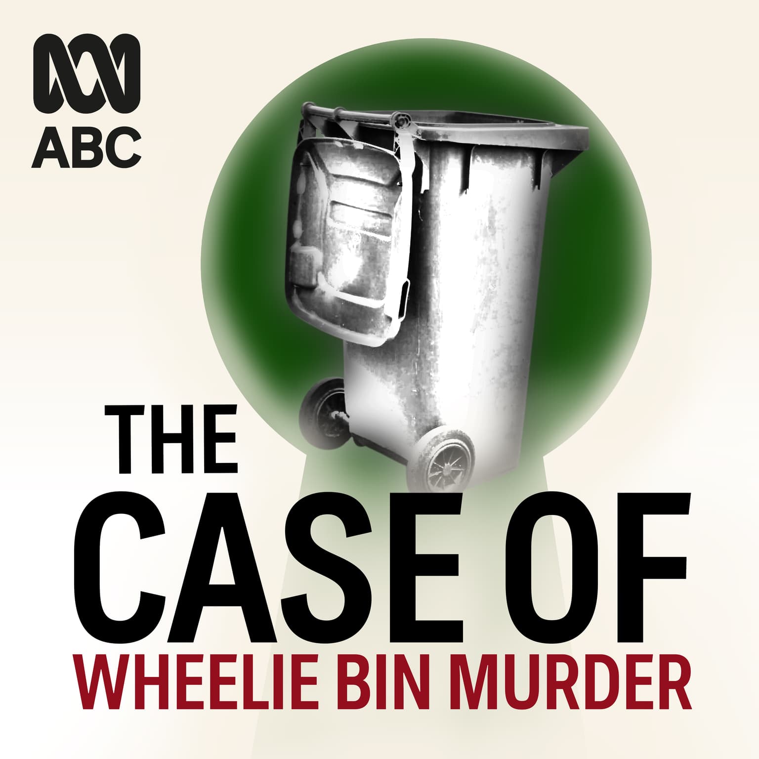 08 Wheelie Bin Murder | The questions we couldn't answer artwork