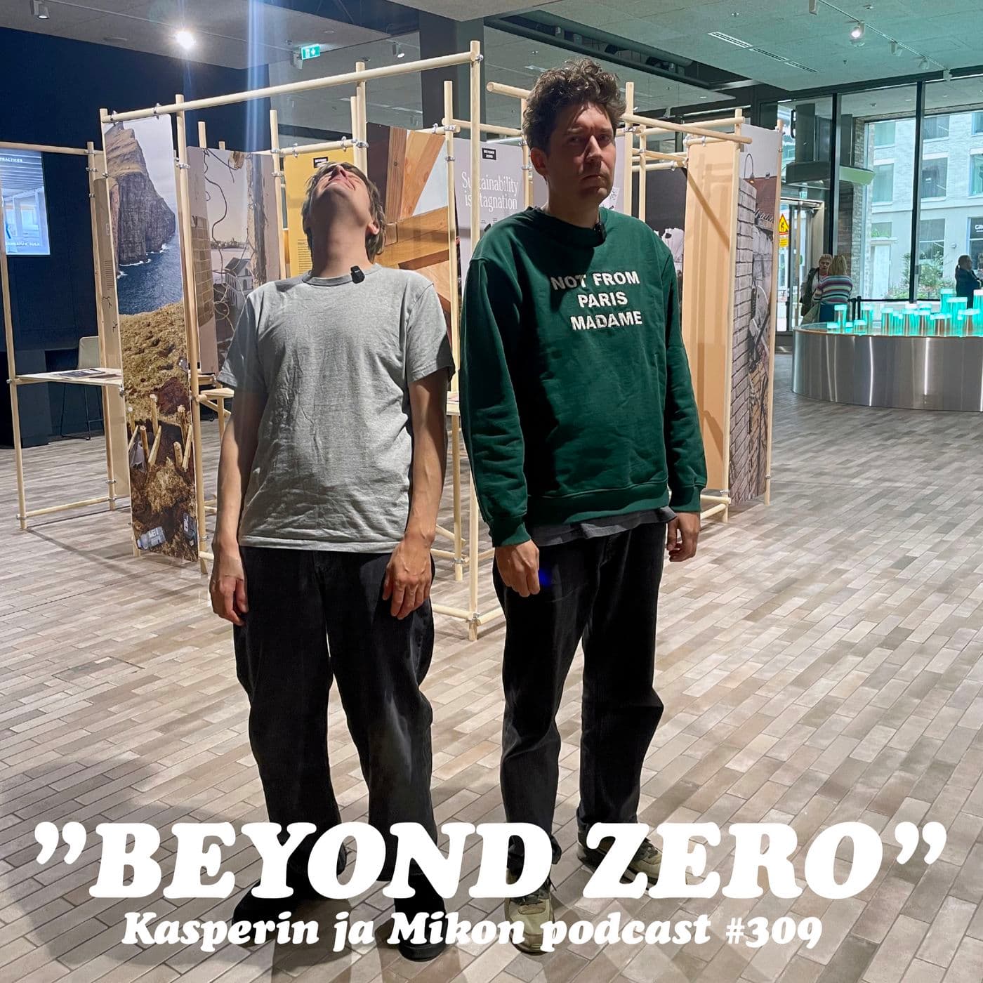 309. Beyond Zero artwork