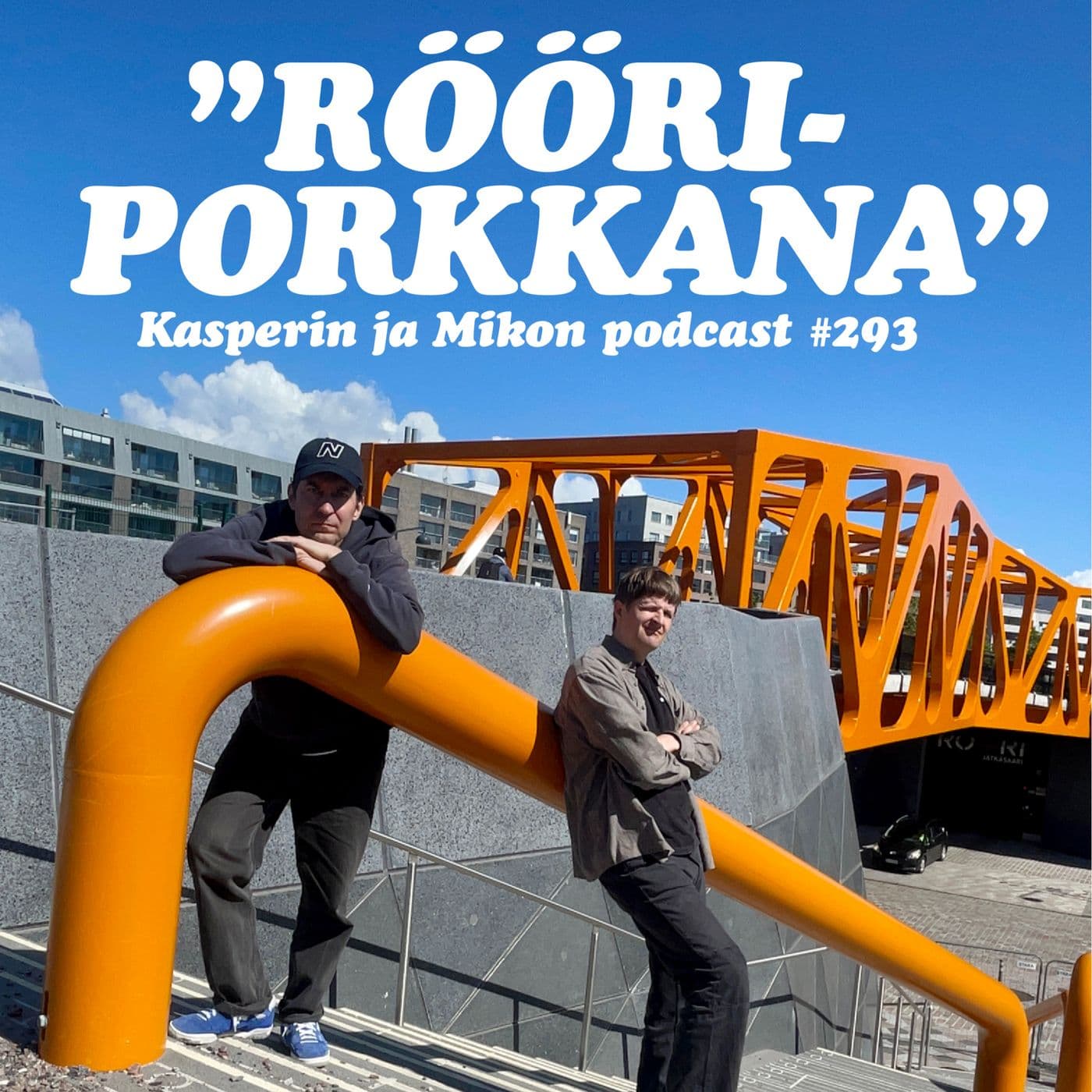 293. Rööriporkkana artwork