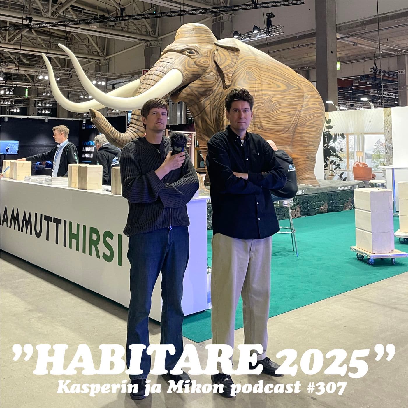 307. Habitare 2025 artwork
