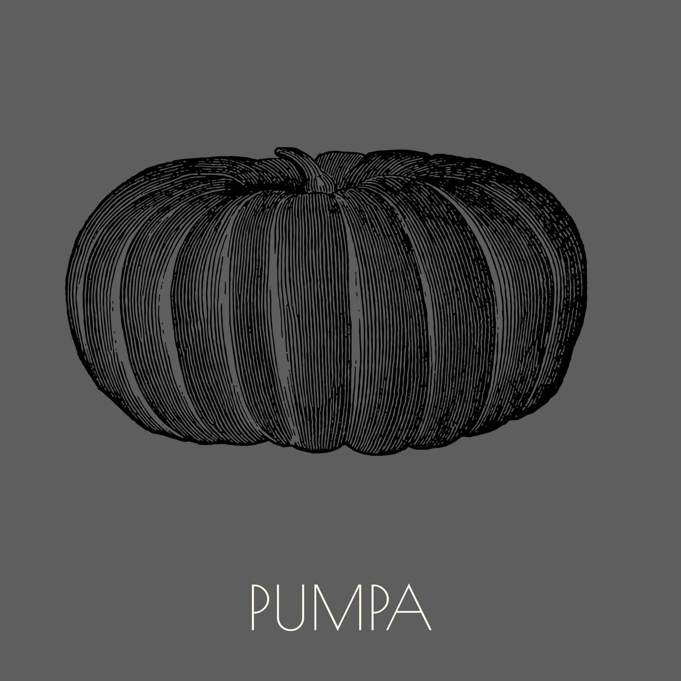 6. Pumpa artwork