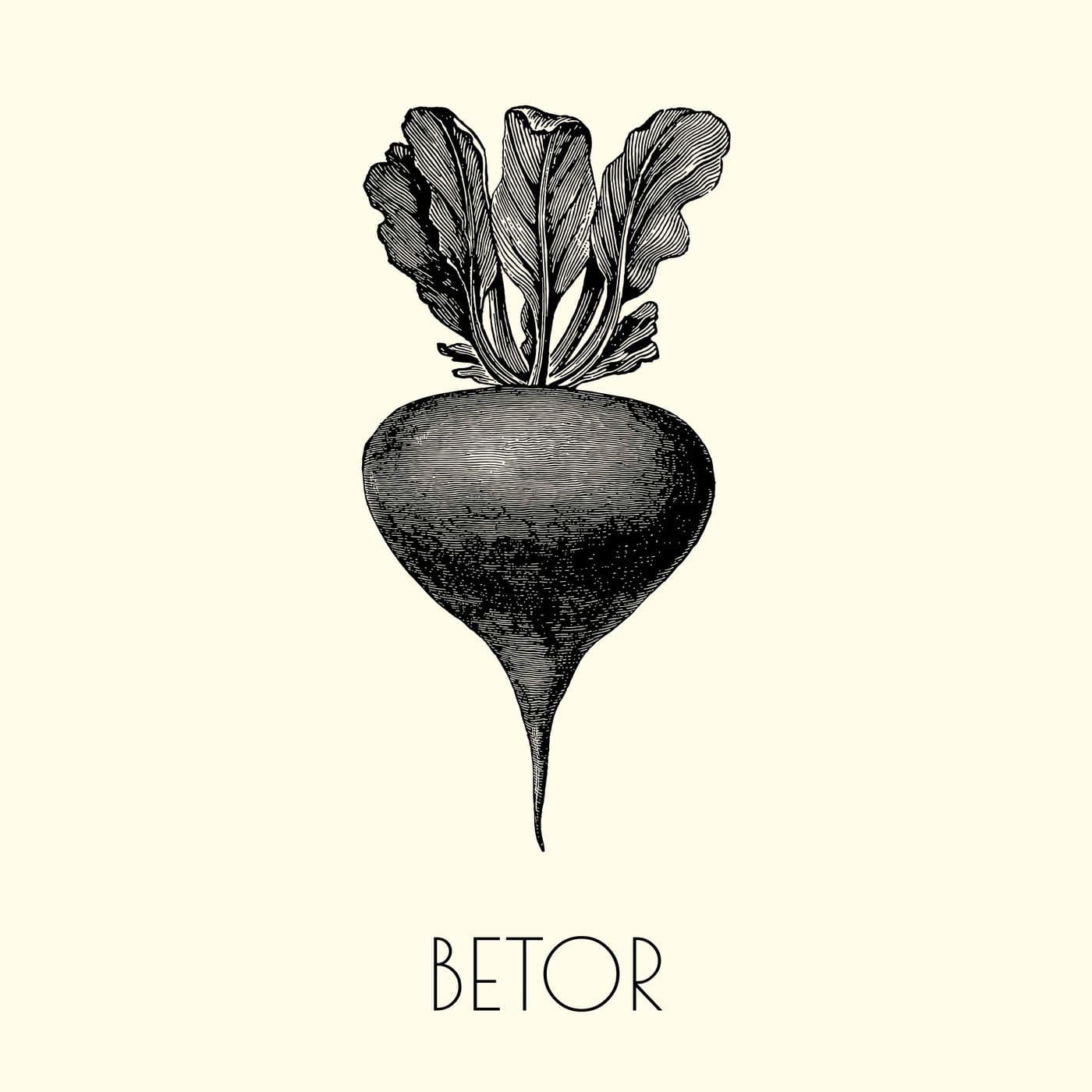 5. Betor artwork