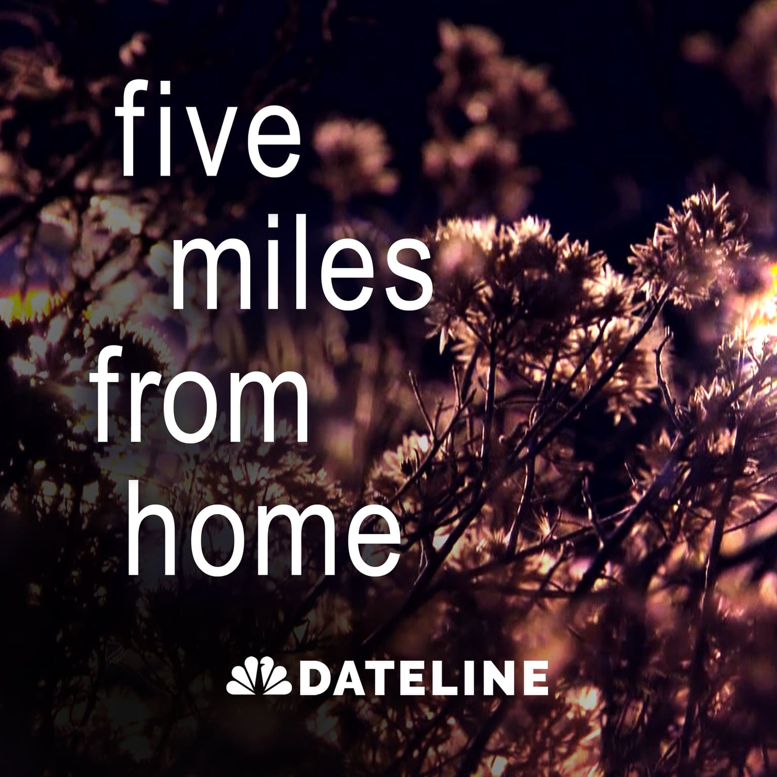 Introducing: Five Miles From Home artwork