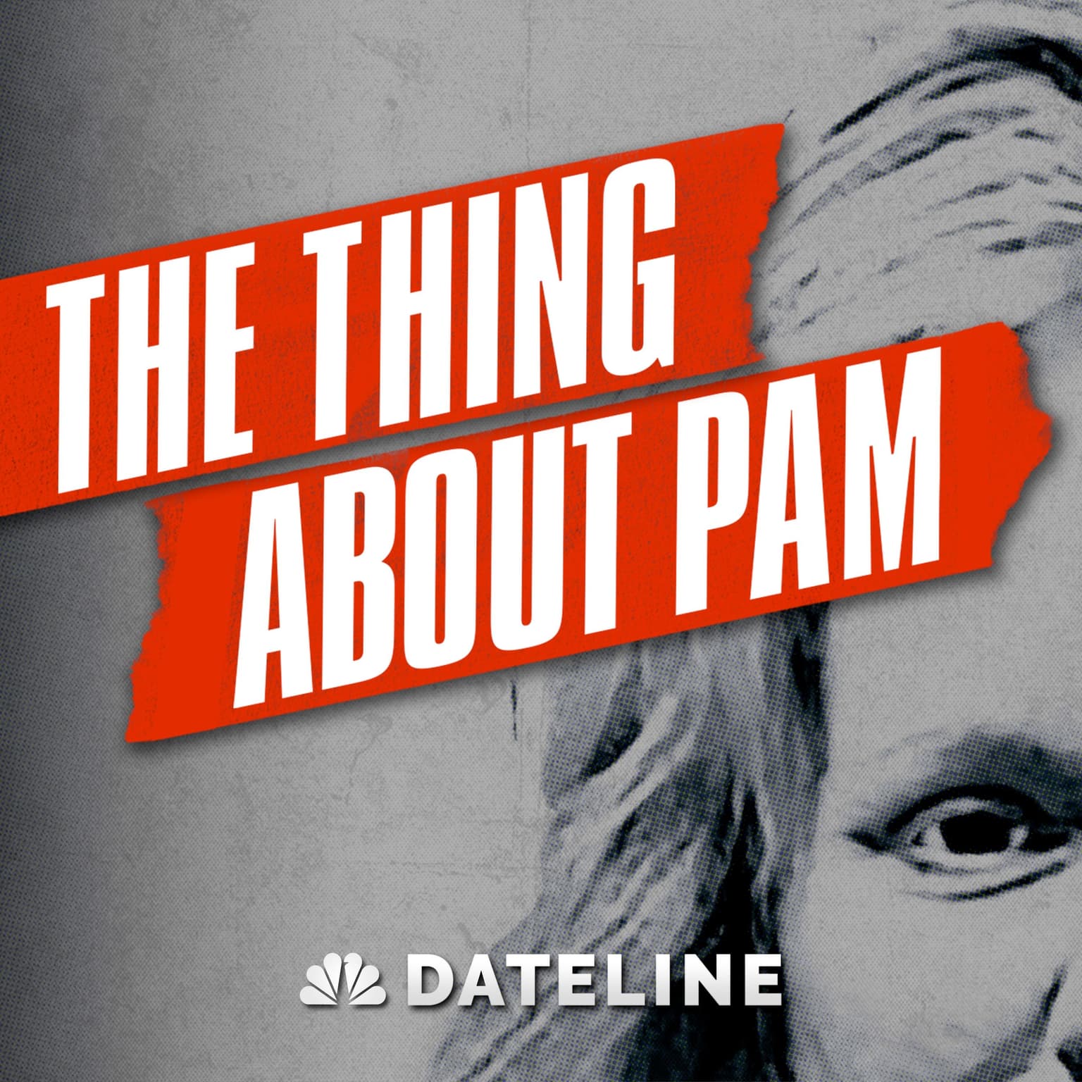 The Thing About Pam - Bonus: The Thing About "The Thing About Pam" artwork