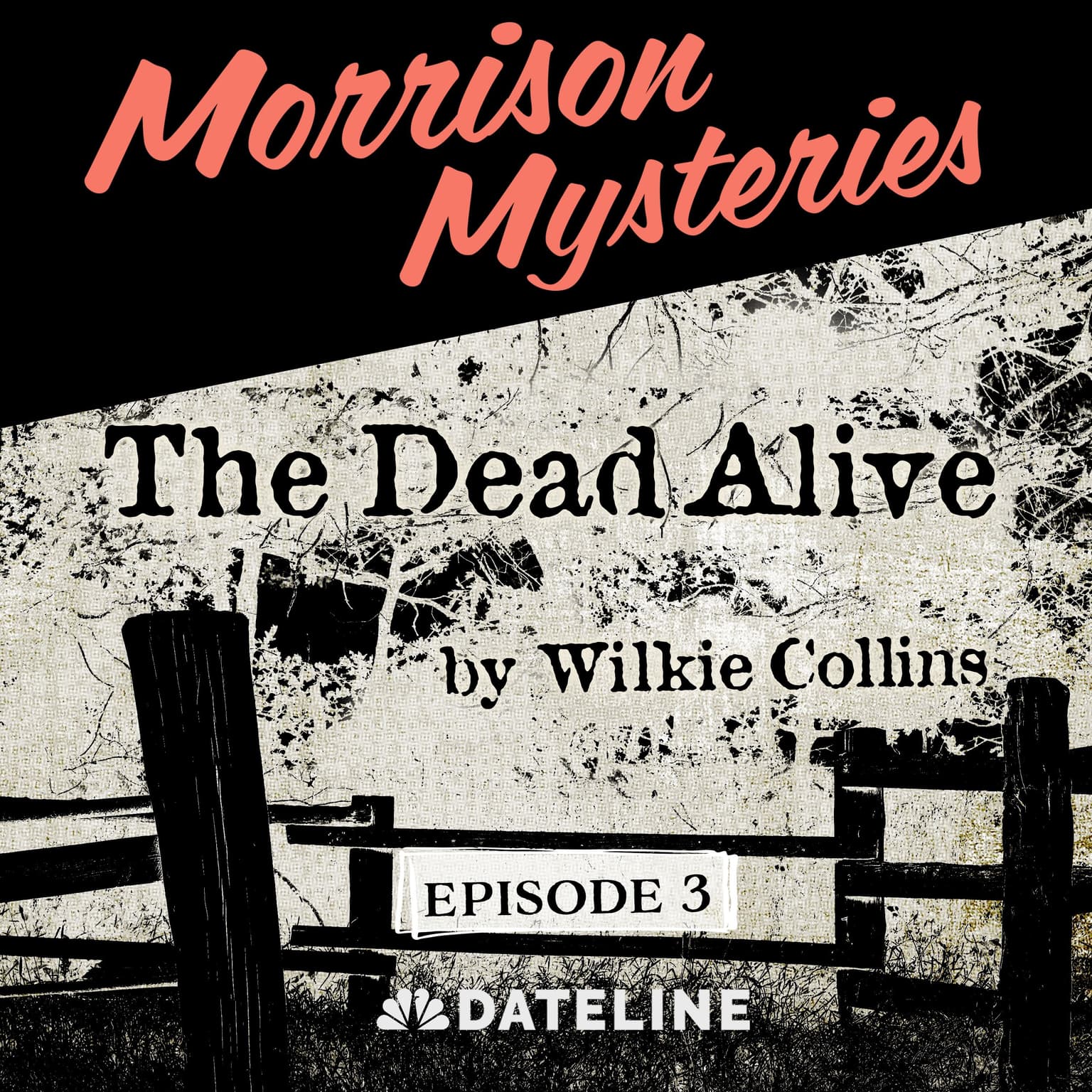 Morrison Mysteries - The Dead Alive Ep. 3: The Murder Trial artwork