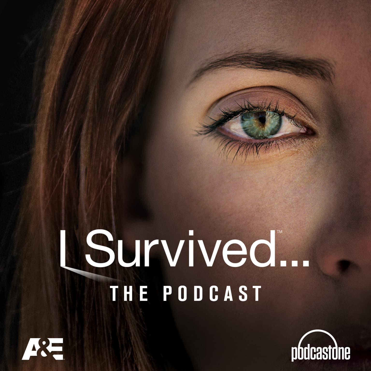 I SURVIVED A SERIAL KILLER: The Cook Brothers artwork