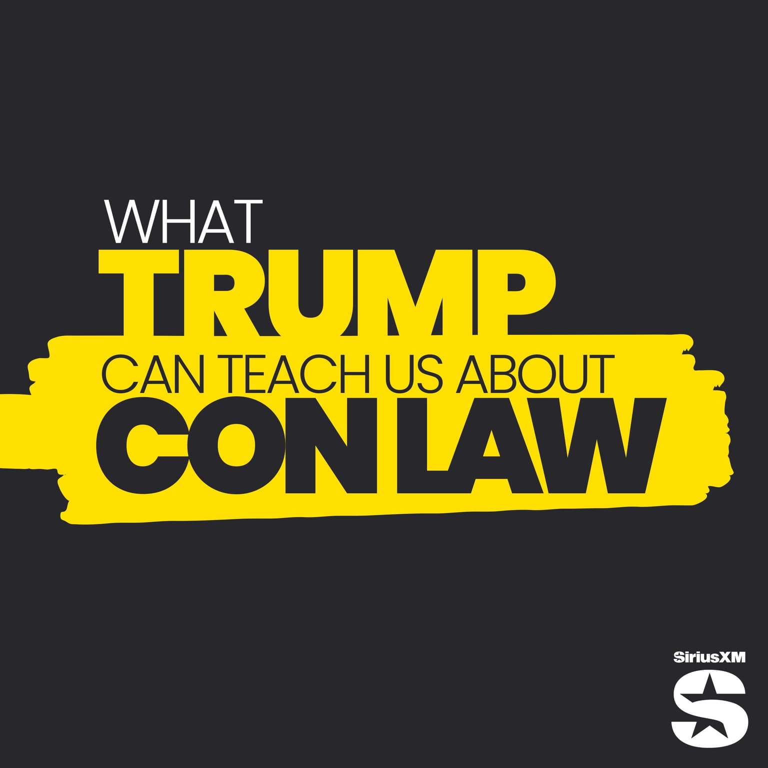 The Return of Con Law artwork