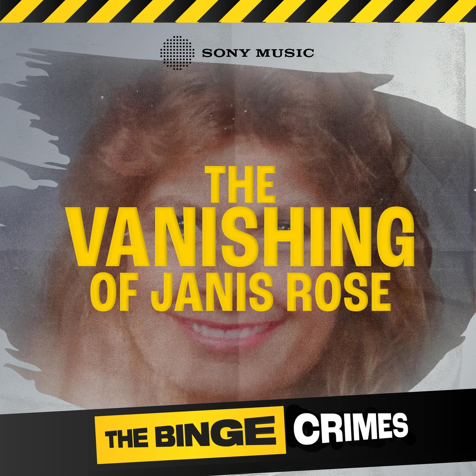 The Vanishing of Janis Rose | 1. Like a Ghost artwork