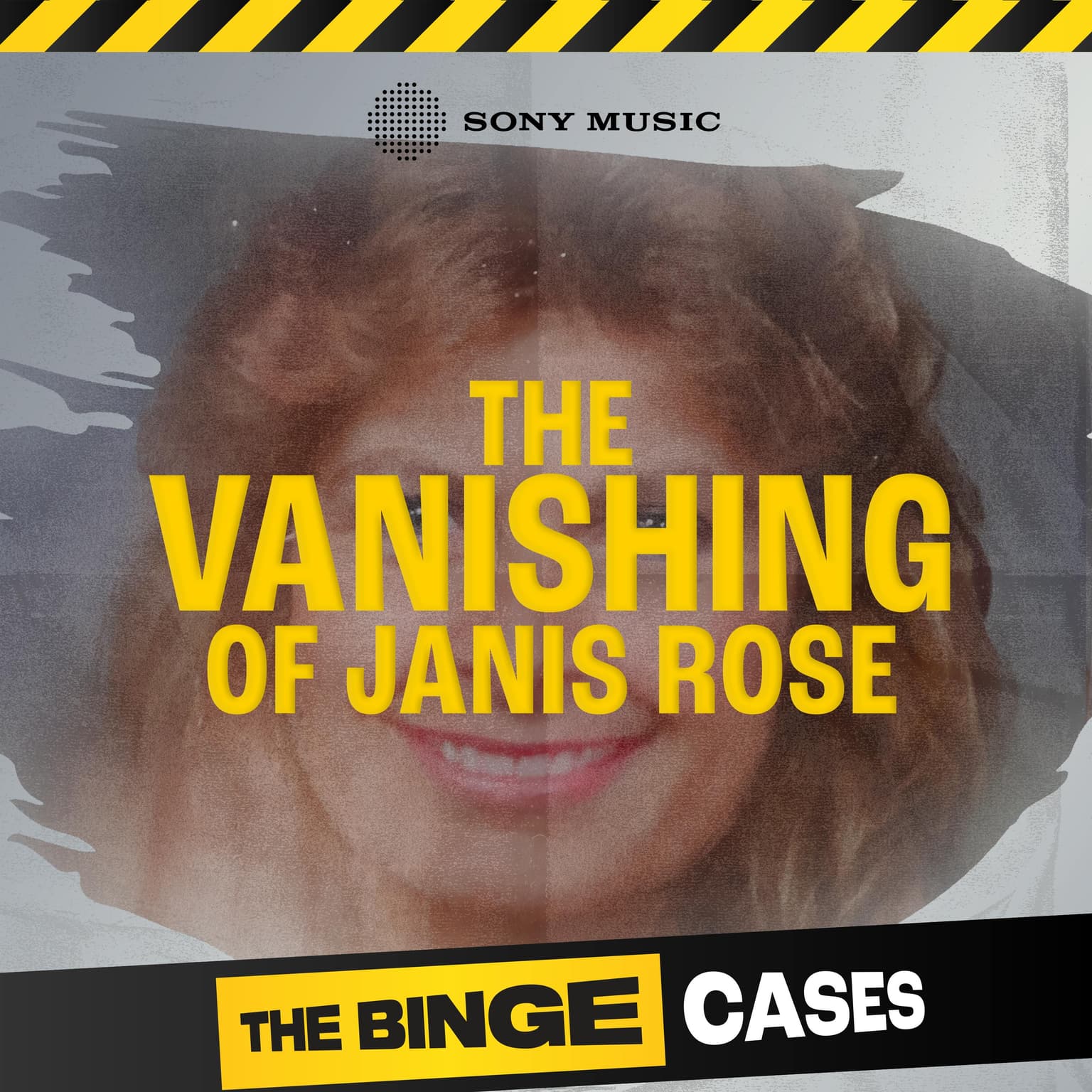 Introducing: The Vanishing of Janis Rose artwork