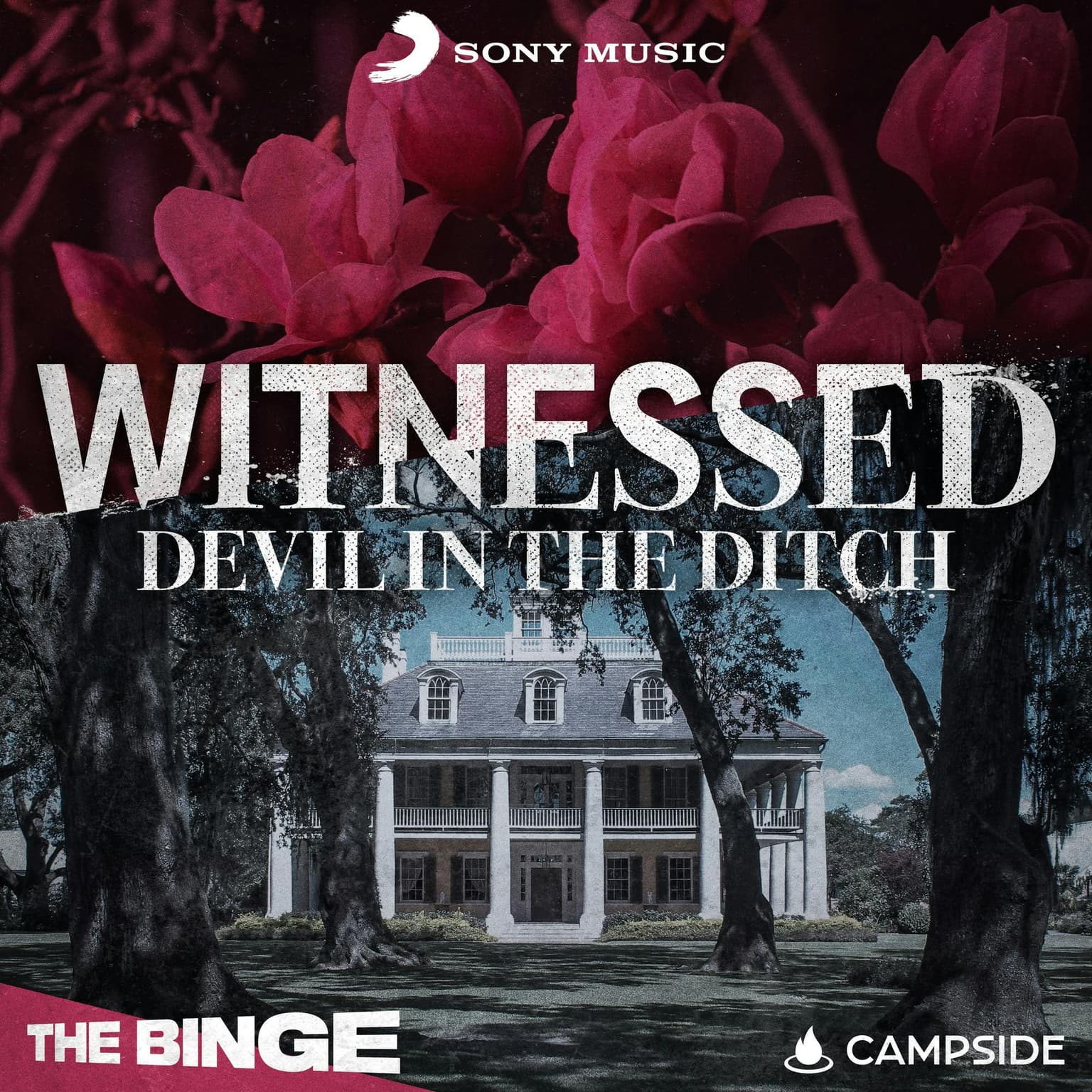 Devil in the Ditch | 1. I Would've Remembered a Murder artwork