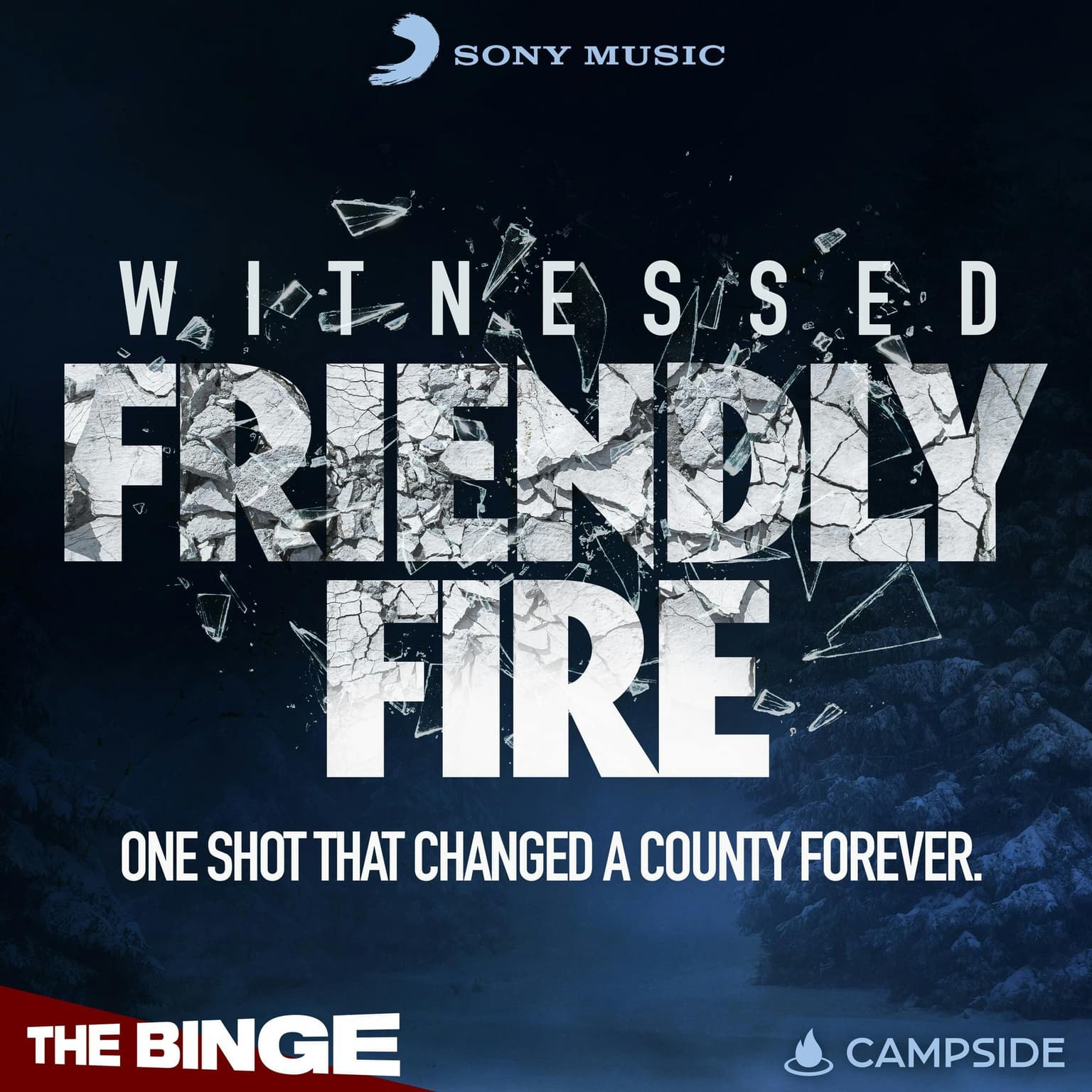Friendly Fire | 1. Officer Down artwork